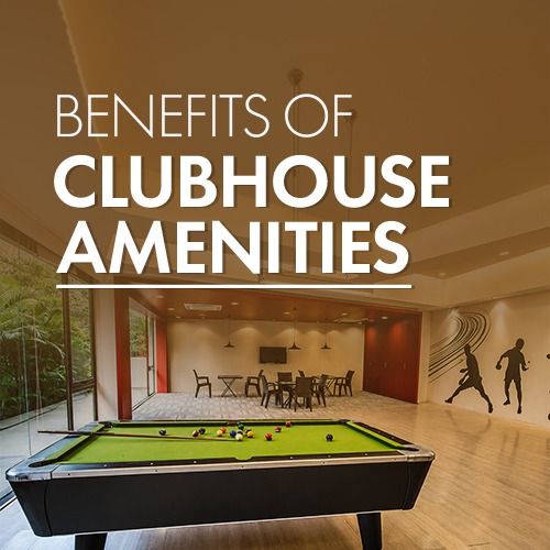 Clubhouse Amenities